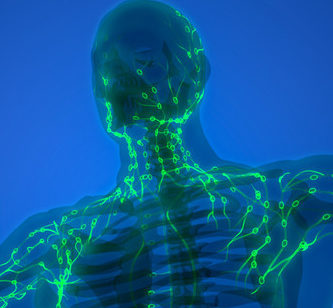 Wondering what your lymph nodes have done for you lately?